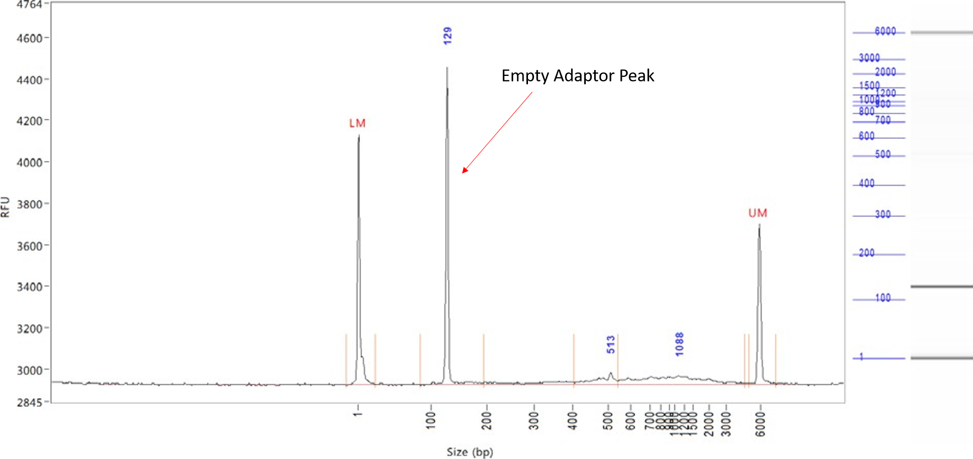 Fragment analyzer interpretation cornell institute of biotechnology